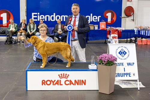 Beste valp gr 8.jpg